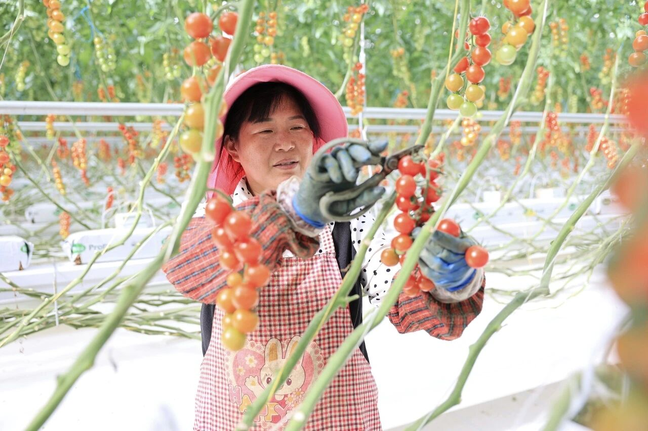 41a1b58cc23be15208fb26c7154632b.png 41a1b58cc23be15208fb26c7154632b.png