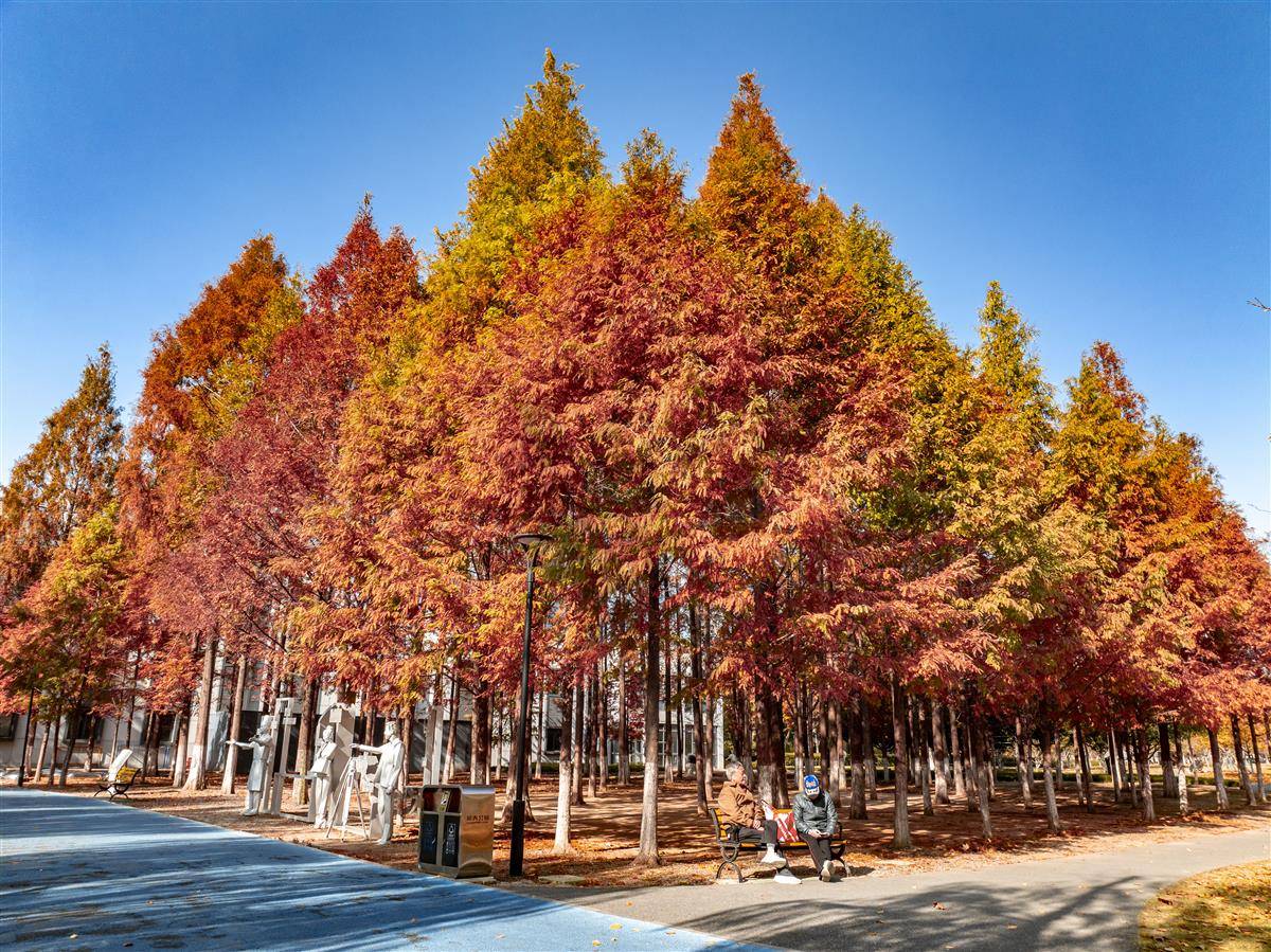 DJI_0059.jpg DJI_0059.jpg