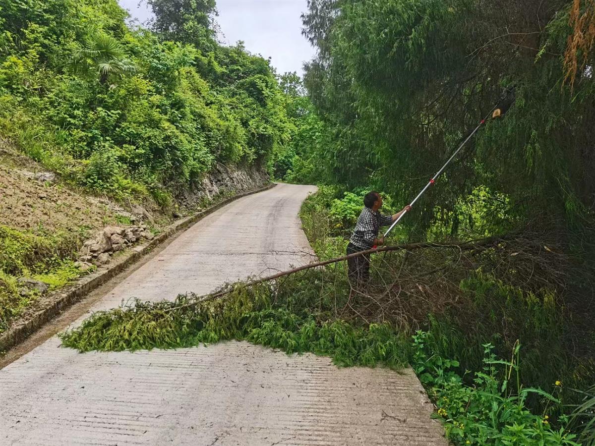 清除道路杂草美化村庄环境