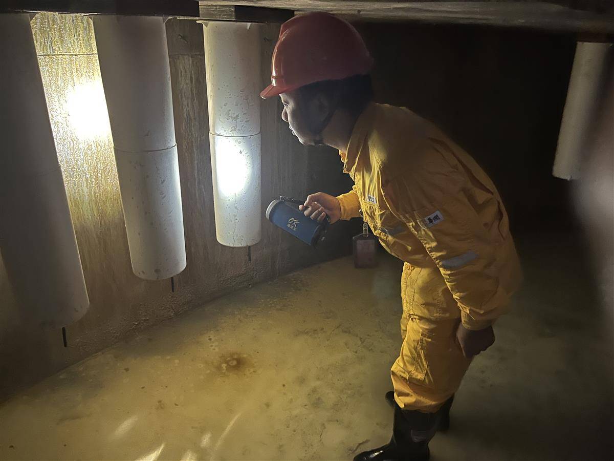 2_proc.jpg 2_proc.jpg