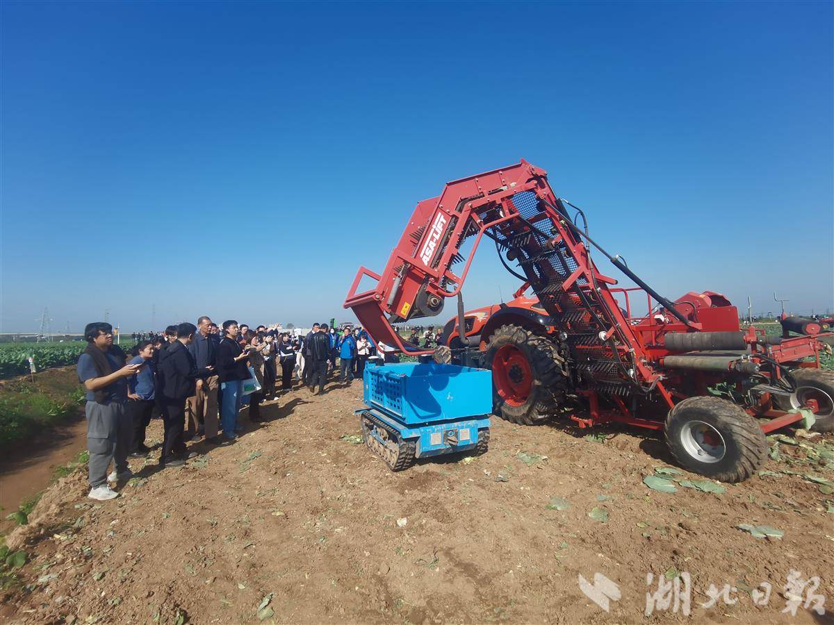 a6f4a17f2e8ef2966a461a404153a959.jpg a6f4a17f2e8ef2966a461a404153a959.jpg