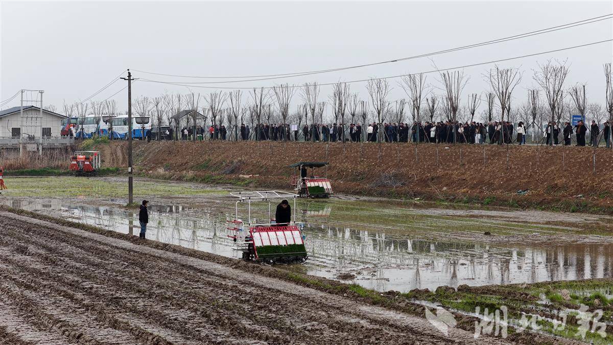 5b8bc0f95e145dadd917c9be946b2062.png 5b8bc0f95e145dadd917c9be946b2062.png