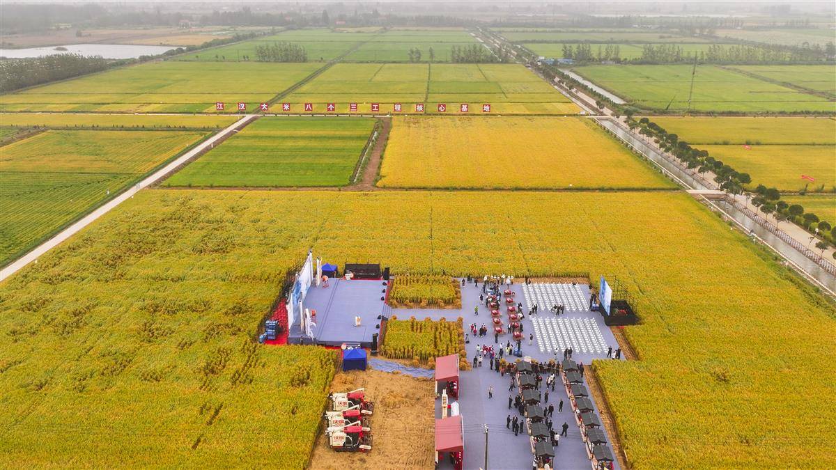 9月23日，湖北监利，水润荆楚·江米如珠，全国主流媒体走进江汉大米品牌核心地品牌推介会现场。（监利融媒记者 饶志超 摄） (2).jpg