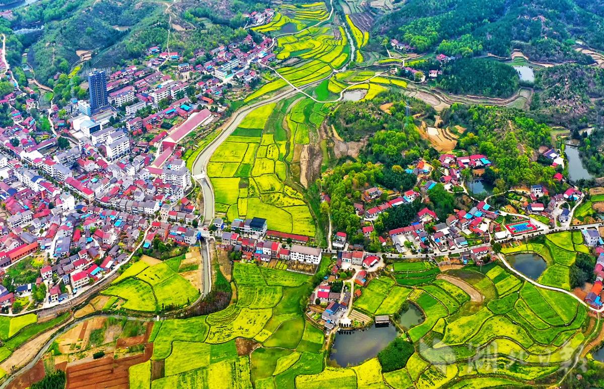 钟祥美丽乡村入画来