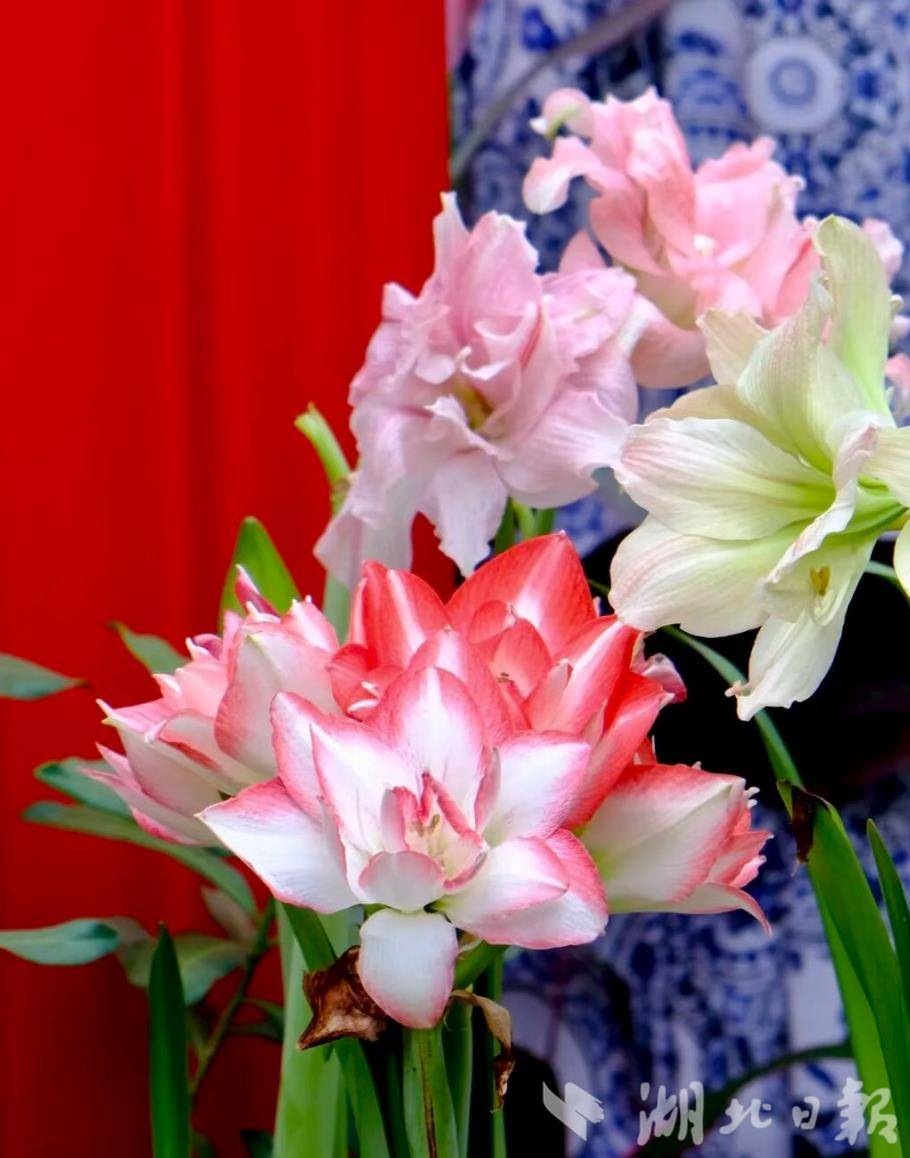 wechat_2025-09-25_175601_939.png