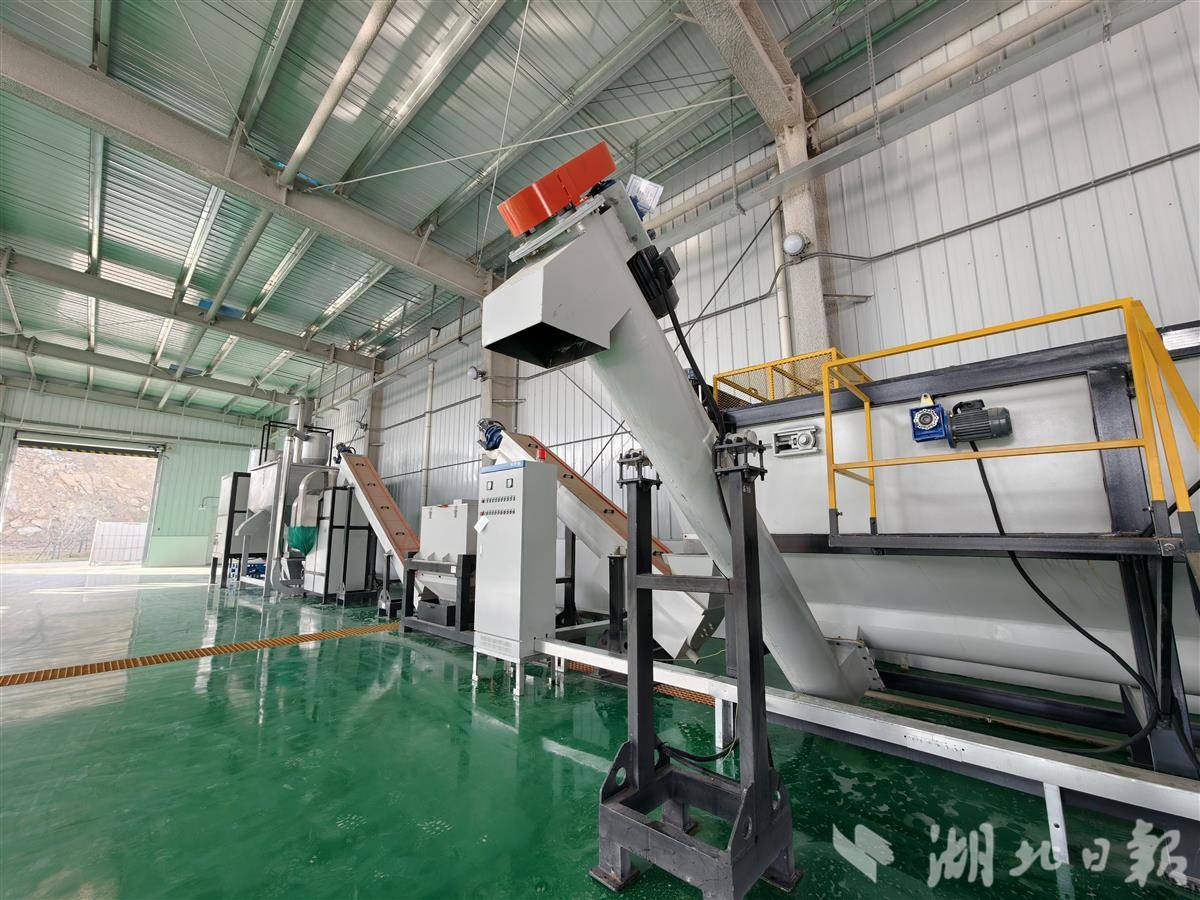 IMG_20260108_100122.jpg IMG_20260108_100122.jpg