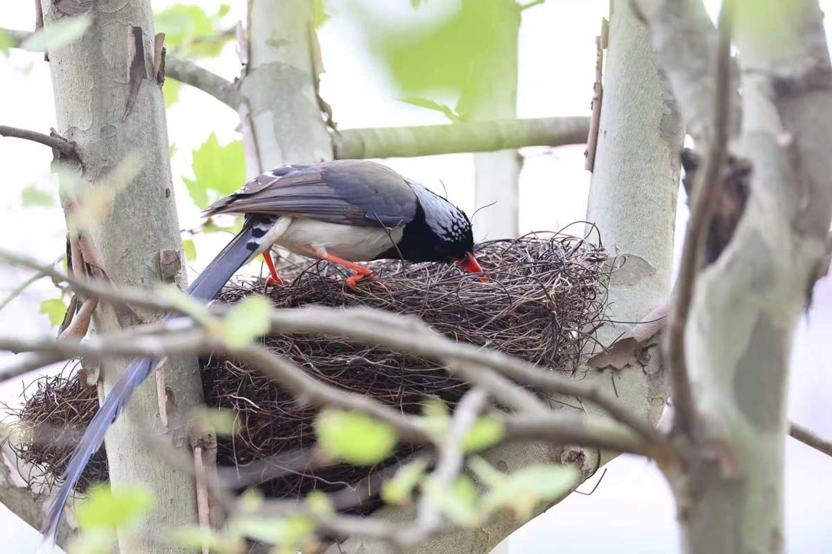 c1a2be0fb9106995e031d33f1329f68d.jpg c1a2be0fb9106995e031d33f1329f68d.jpg