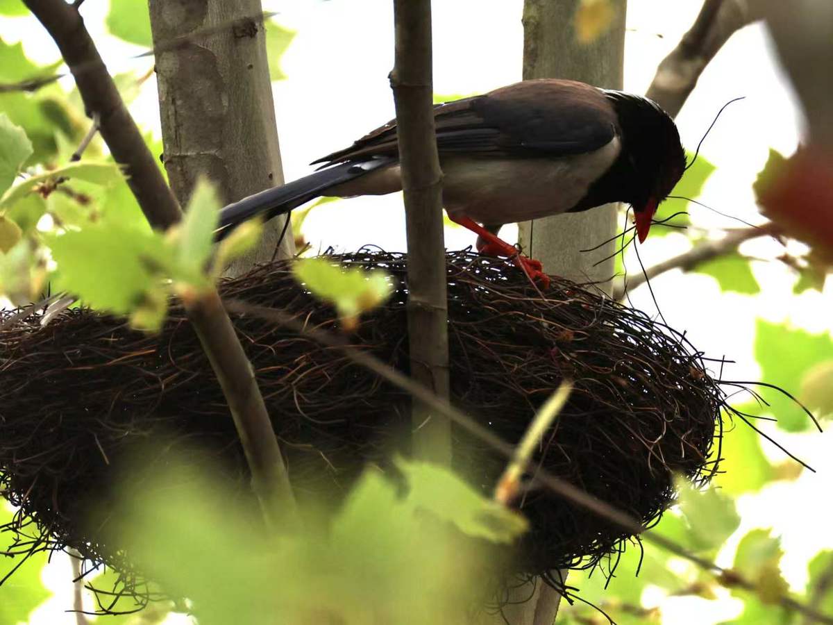 bd415aed73704d525ae68115e4c41cb9.jpg bd415aed73704d525ae68115e4c41cb9.jpg