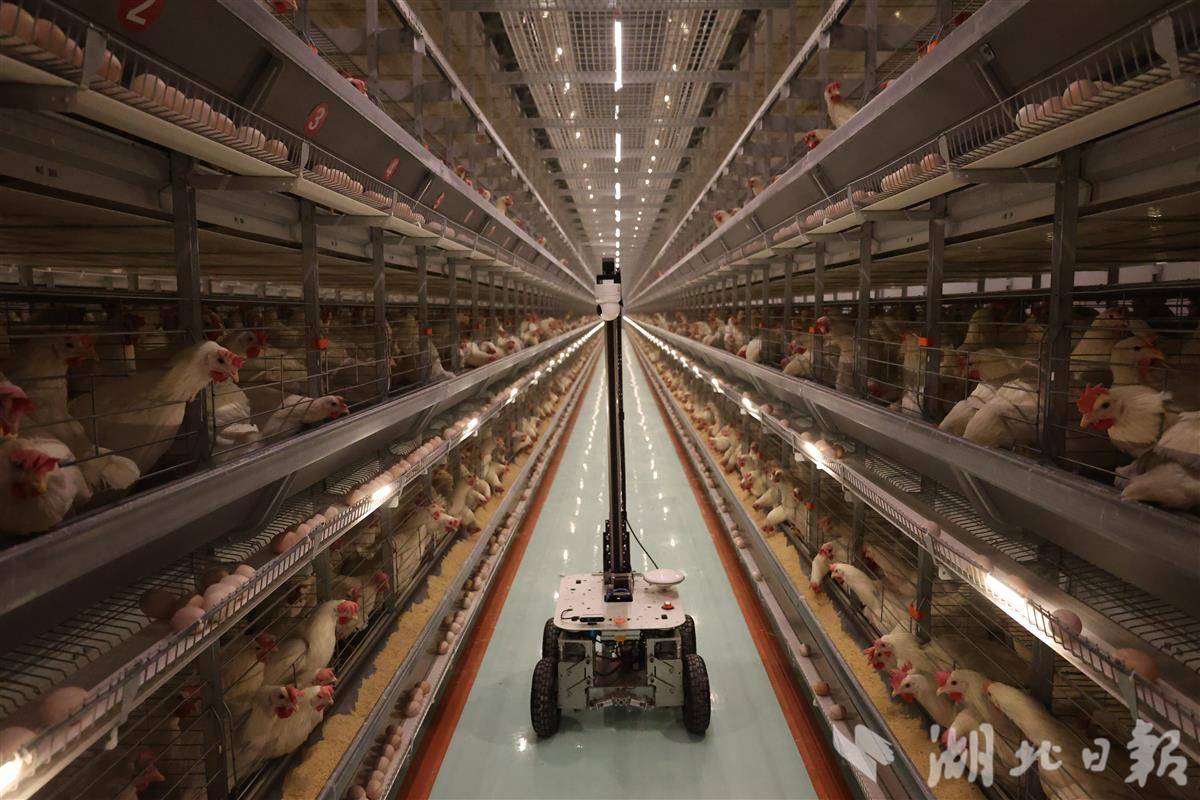 微信图片_20251215150112_186_344.jpg 微信图片_20251215150112_186_344.jpg