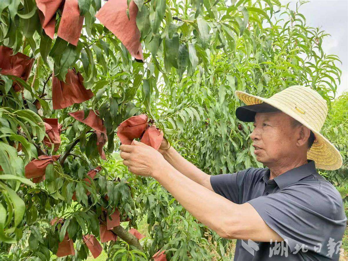微信图片_2025-08-12_111515_085.jpg