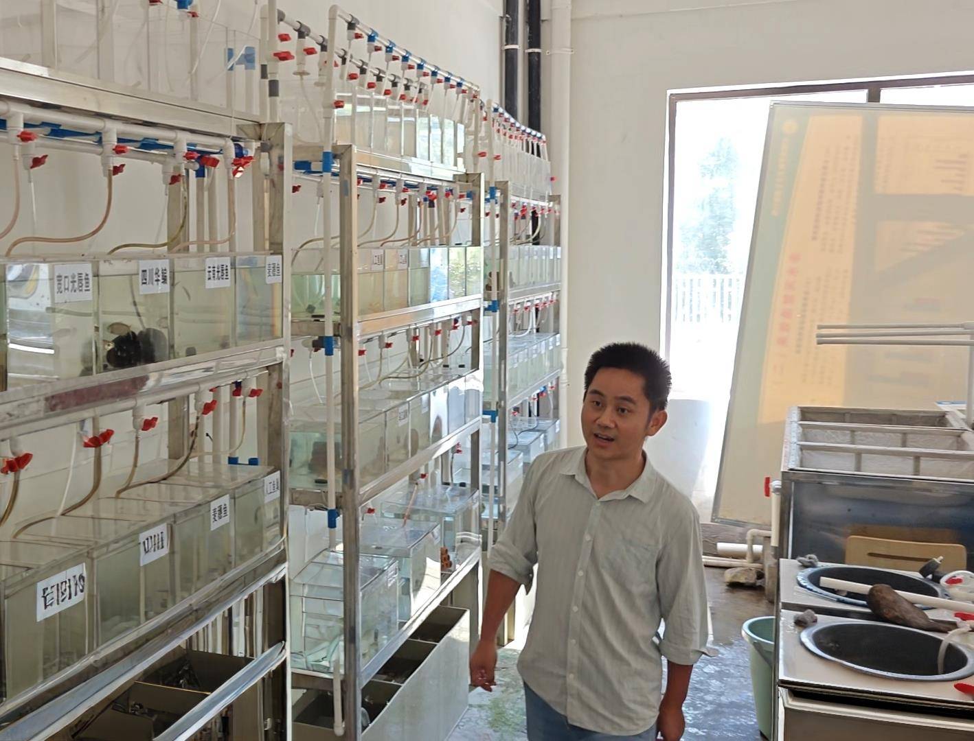 IMG_20250806_143531.jpg IMG_20250806_143531.jpg