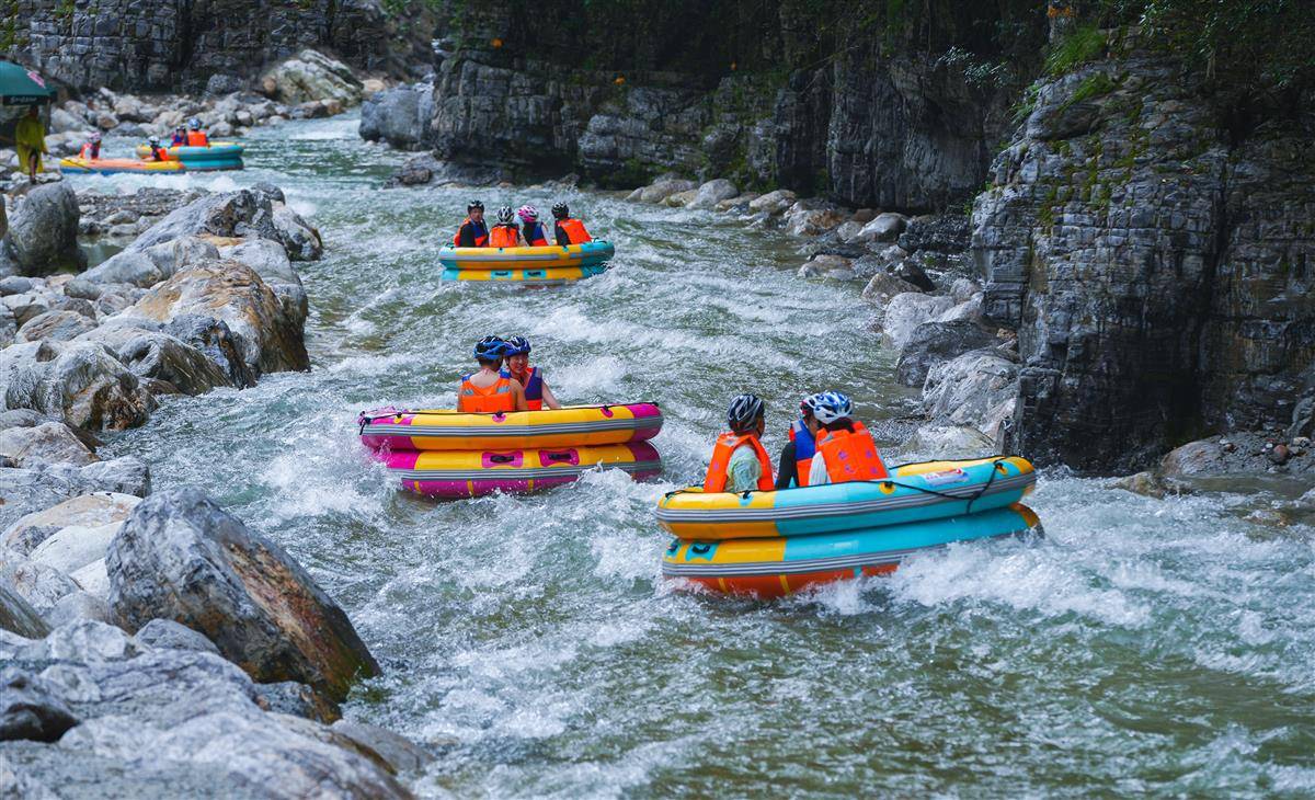 IMG_1984.JPG.jpg IMG_1984.JPG.jpg