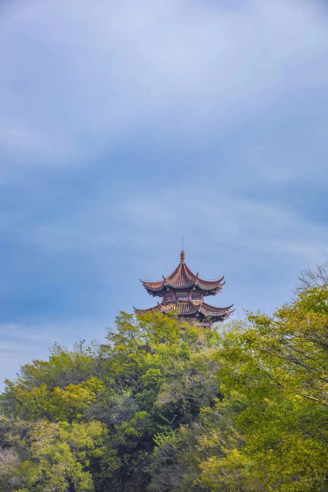 西塞山的秋天,抓住你了