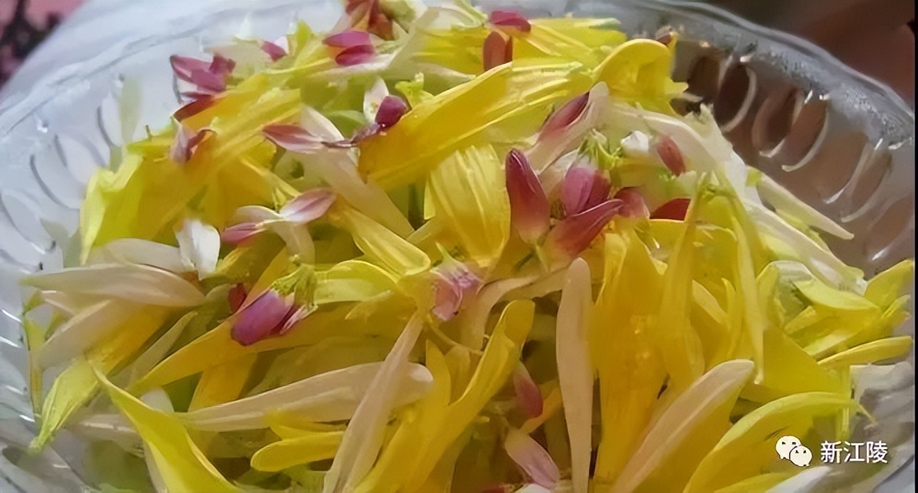 金丝皇菊市场价格