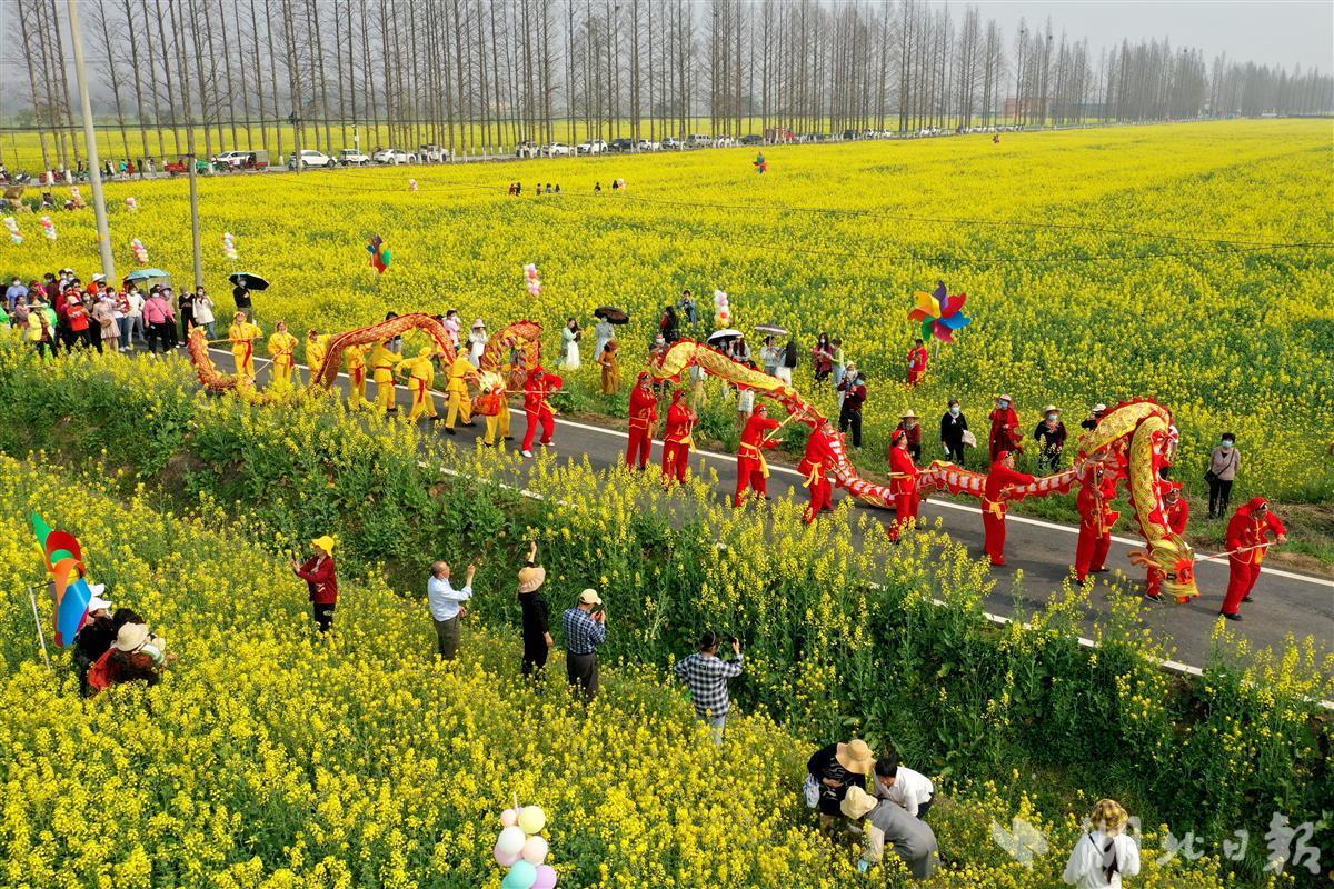 舞龙,采莲船等民俗表演在油菜花田里上演,吸引了不少游客围观.