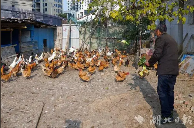 微信图片_20250712232709.png
