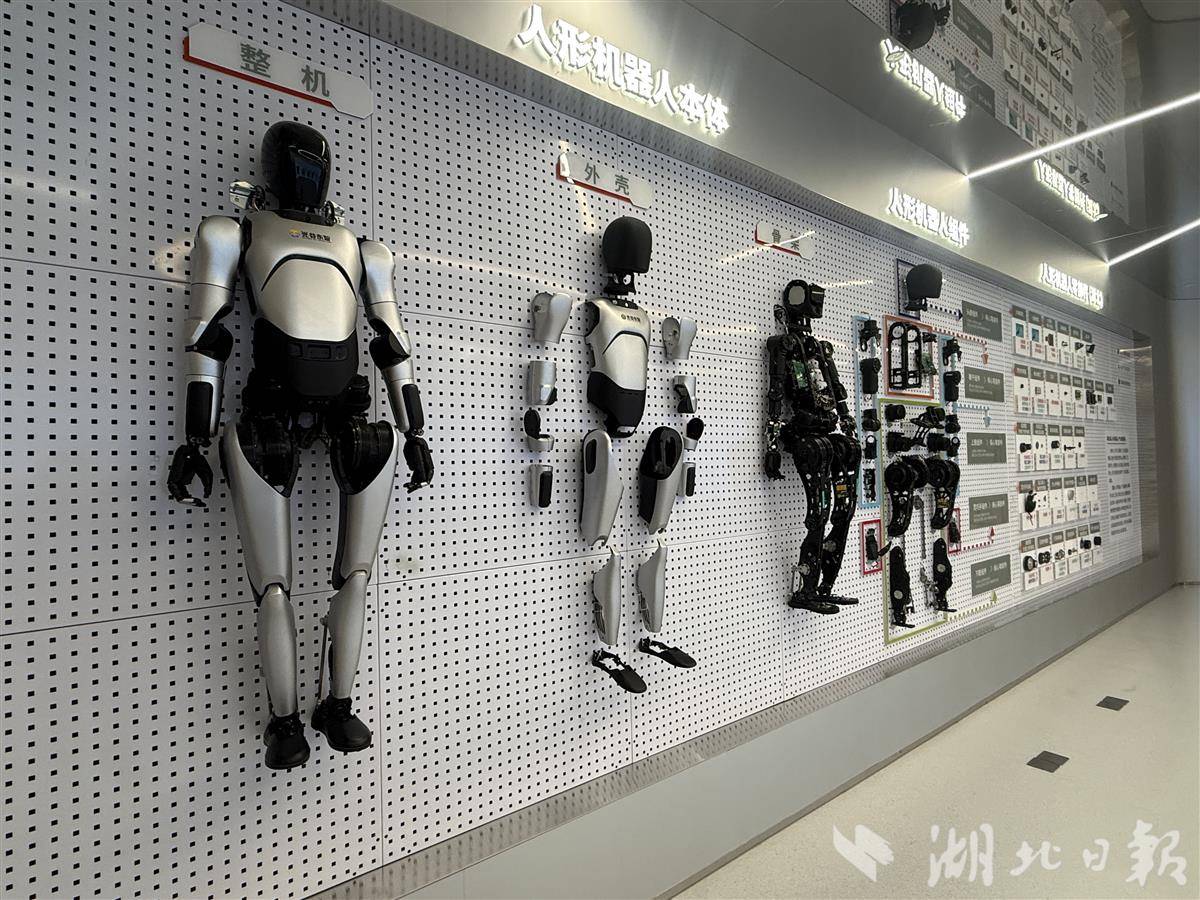 IMG_1695.jpeg IMG_1695.jpeg