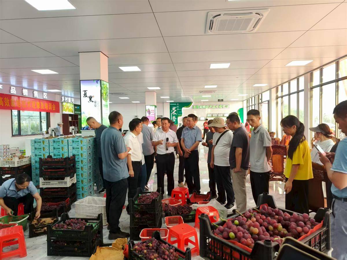 微信图片_20250829100406_60_917.jpg 微信图片_20250829100406_60_917.jpg