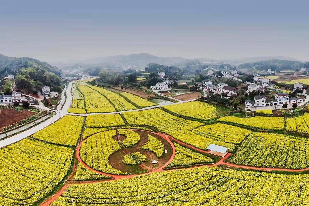 村美民富人心和——宜都姚家店油榨坪村美丽乡村建设侧记 - 湖北日报