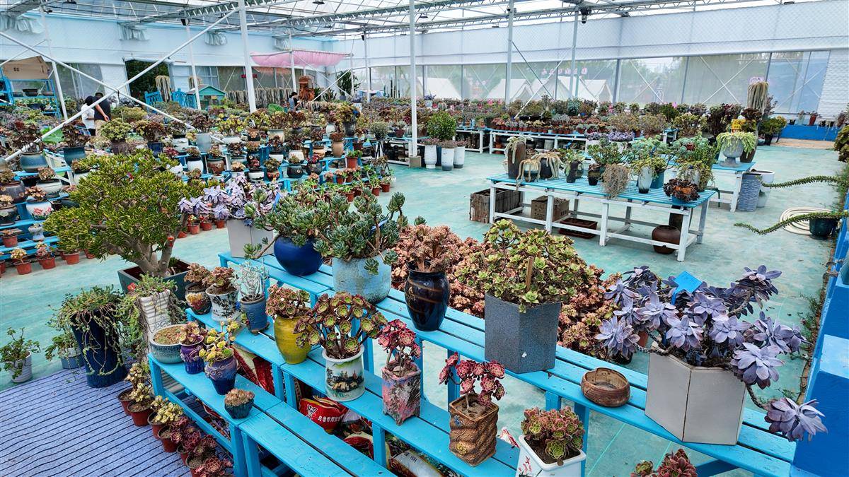 微信图片_20251014175012_223_212.jpg 微信图片_20251014175012_223_212.jpg