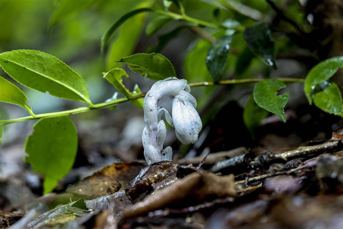 图片2.jpg 图片2.jpg