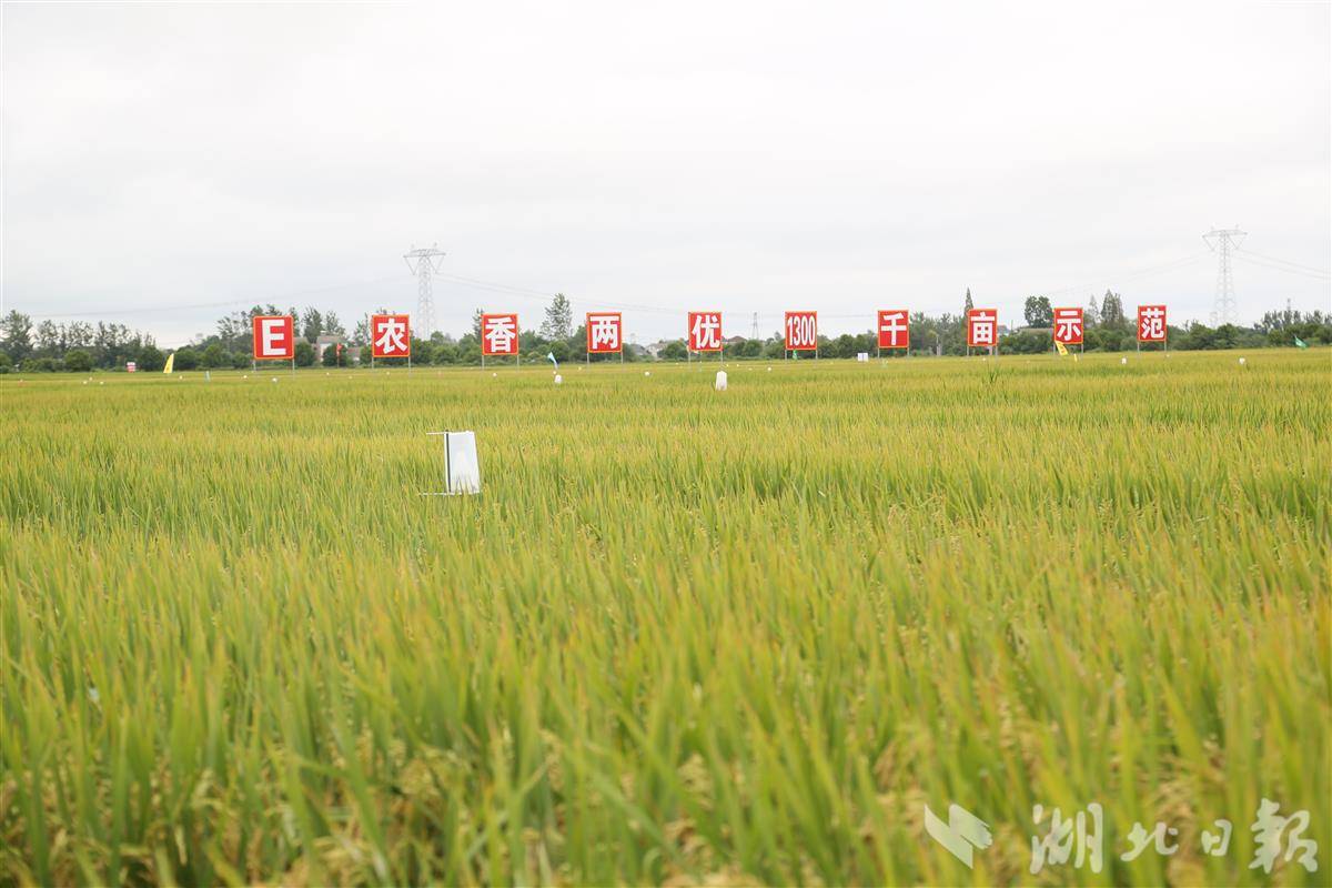 6aa5832791db730ea6e13e349d413c6c.jpg 6aa5832791db730ea6e13e349d413c6c.jpg