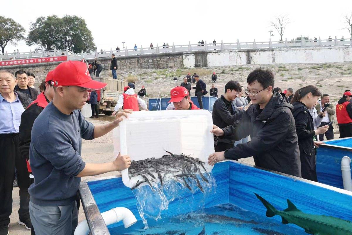 mmexport1774760837532.jpg mmexport1774760837532.jpg