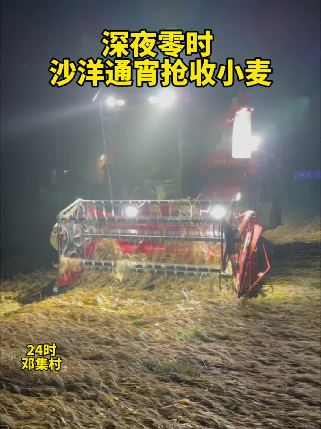 深夜零时 沙洋通宵抢收小麦