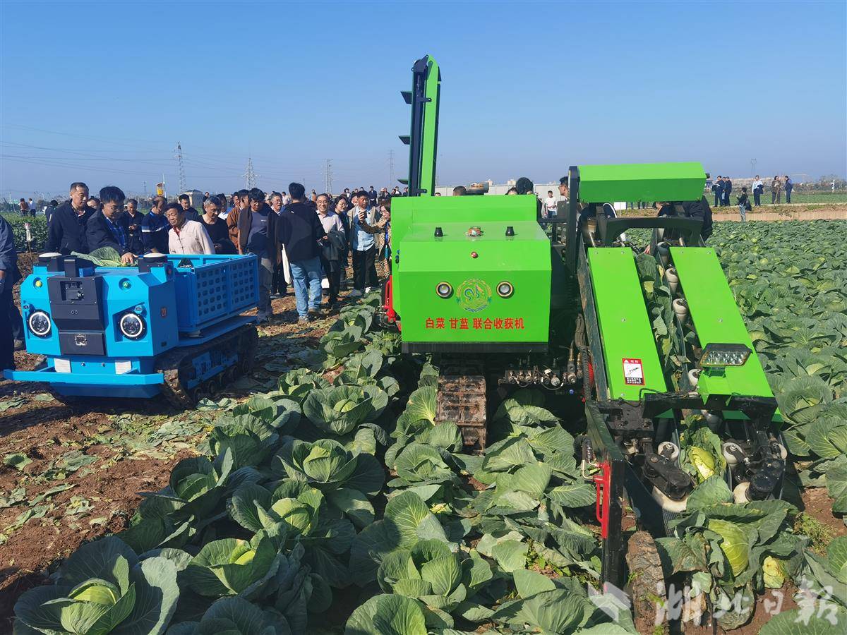 edc1bb07efb6d206e85df51b7d086fea.jpg edc1bb07efb6d206e85df51b7d086fea.jpg