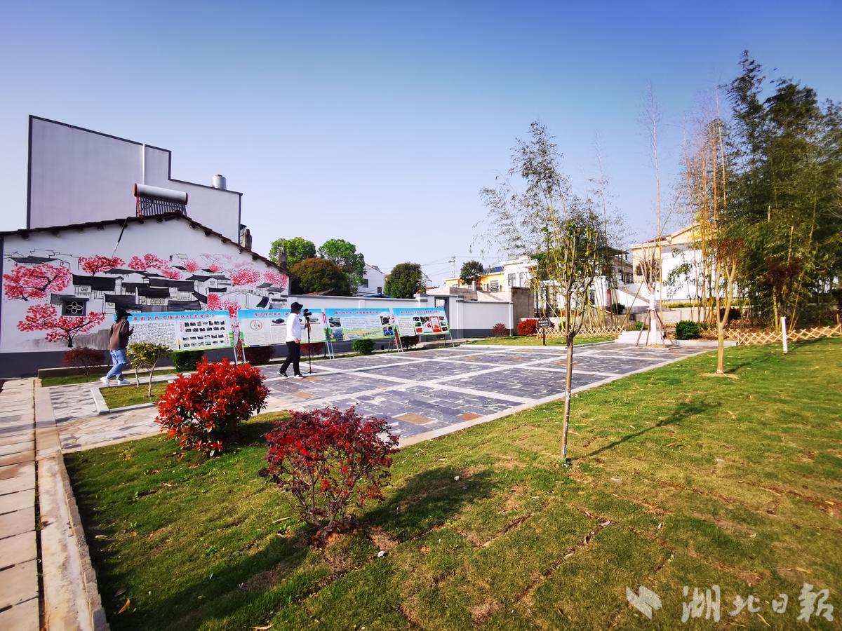 阳春三月看孝南⑤农旅融合扮靓武汉后花园