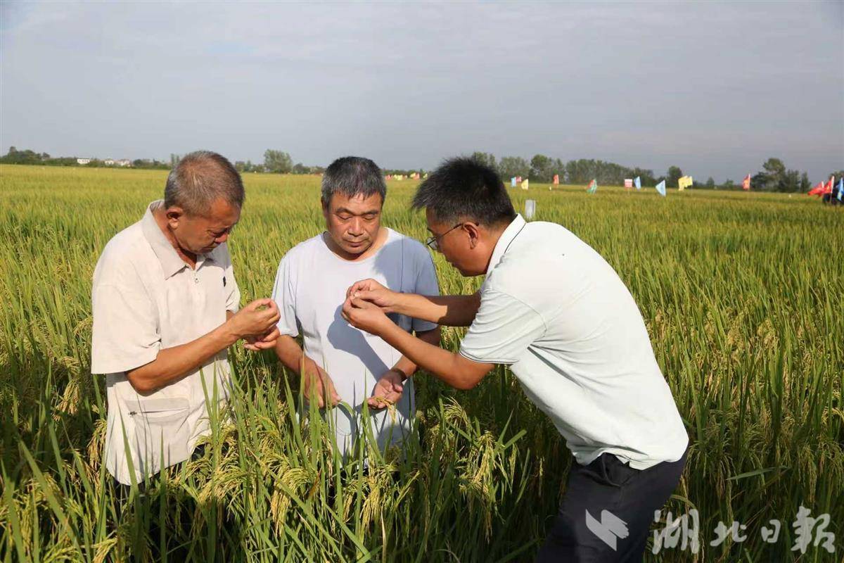 492716d70dedf399c5ab2ad7ddbb8b1a.jpg 492716d70dedf399c5ab2ad7ddbb8b1a.jpg