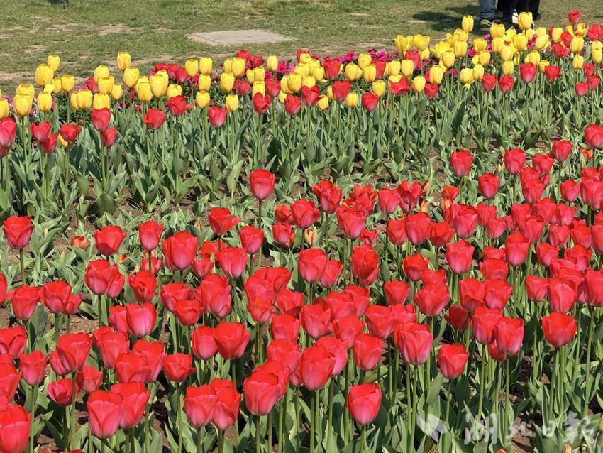 bcb77d7d1e18838d693574c6a4045c59.jpg bcb77d7d1e18838d693574c6a4045c59.jpg