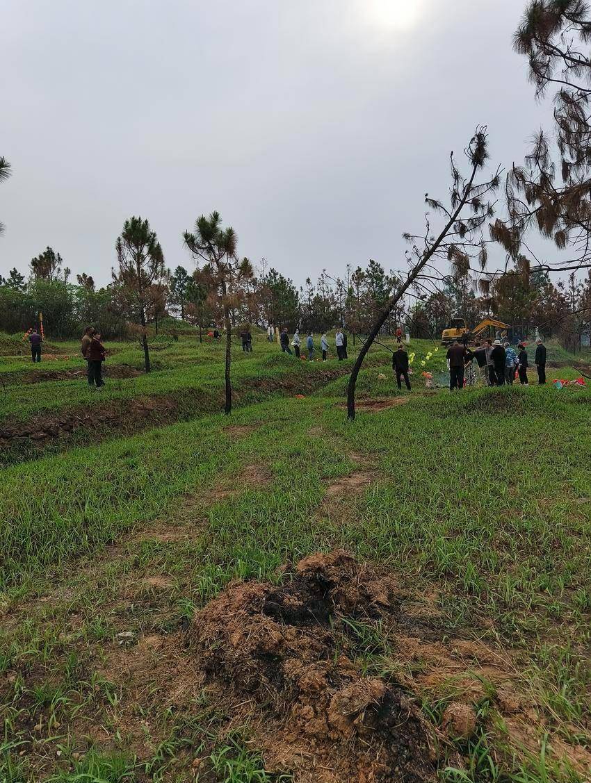 红安县觅儿寺镇全力抓好要素保障 助推园区和谐发展
