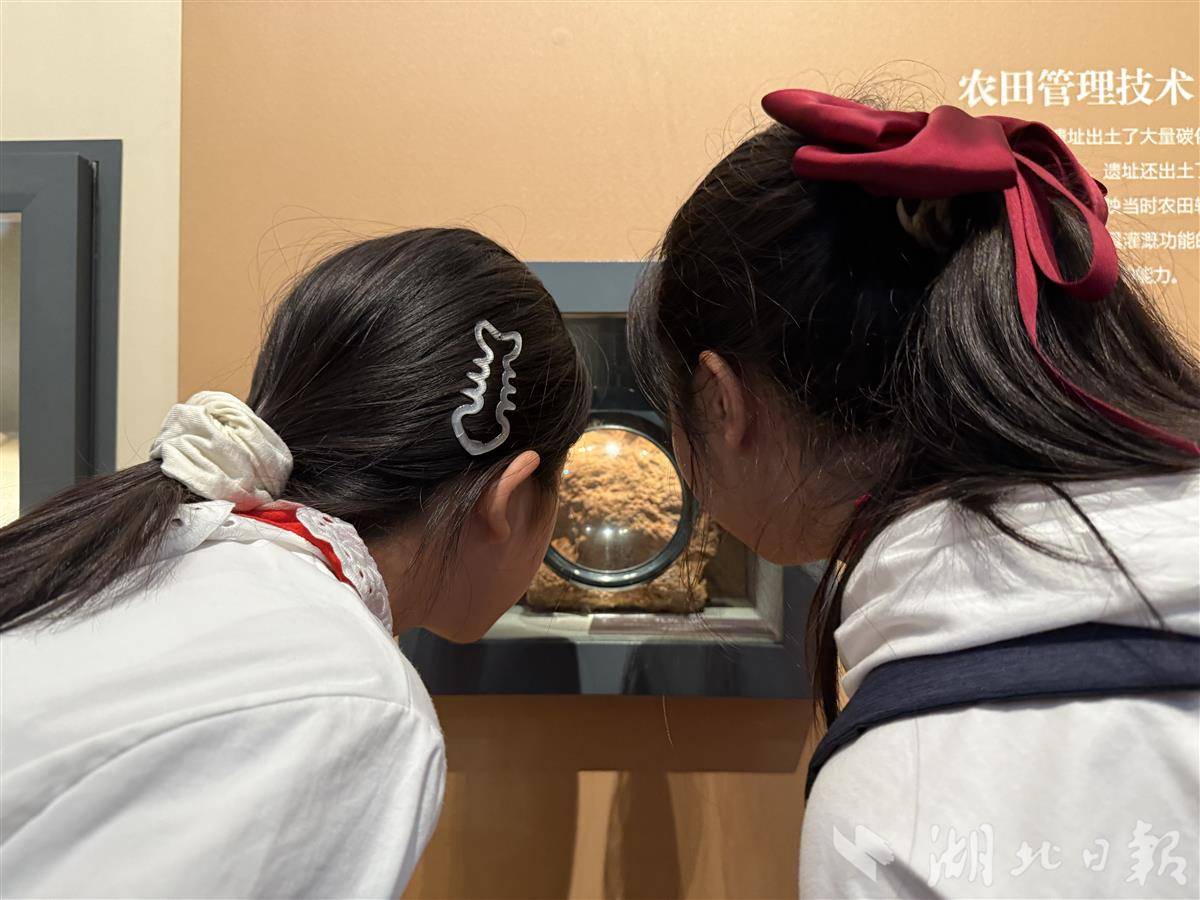 IMG_1985(1).JPG IMG_1985(1).JPG