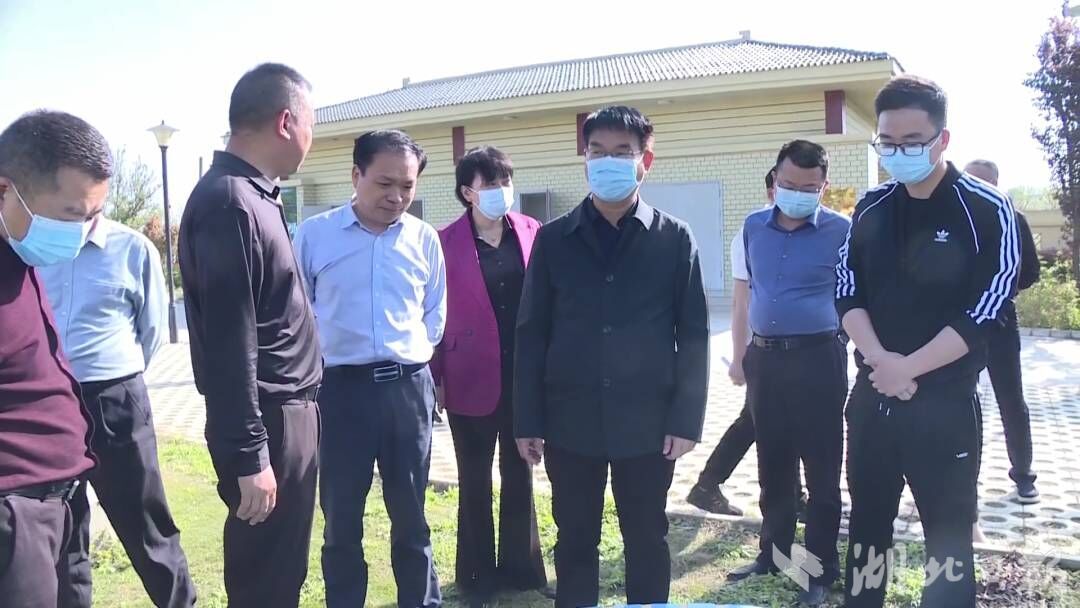 河湖长制,美丽乡村建设等工作,市人大常委会主任谢正旺等参加调研