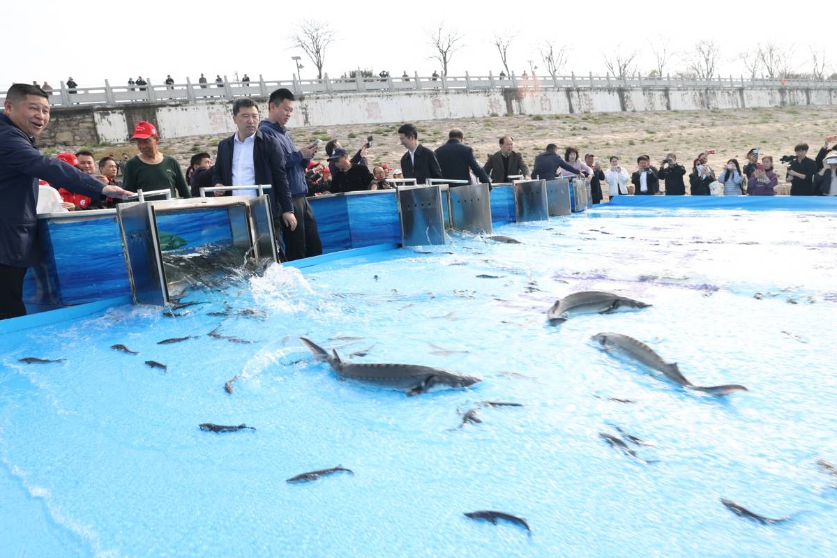 mmexport1774759095989.jpg mmexport1774759095989.jpg