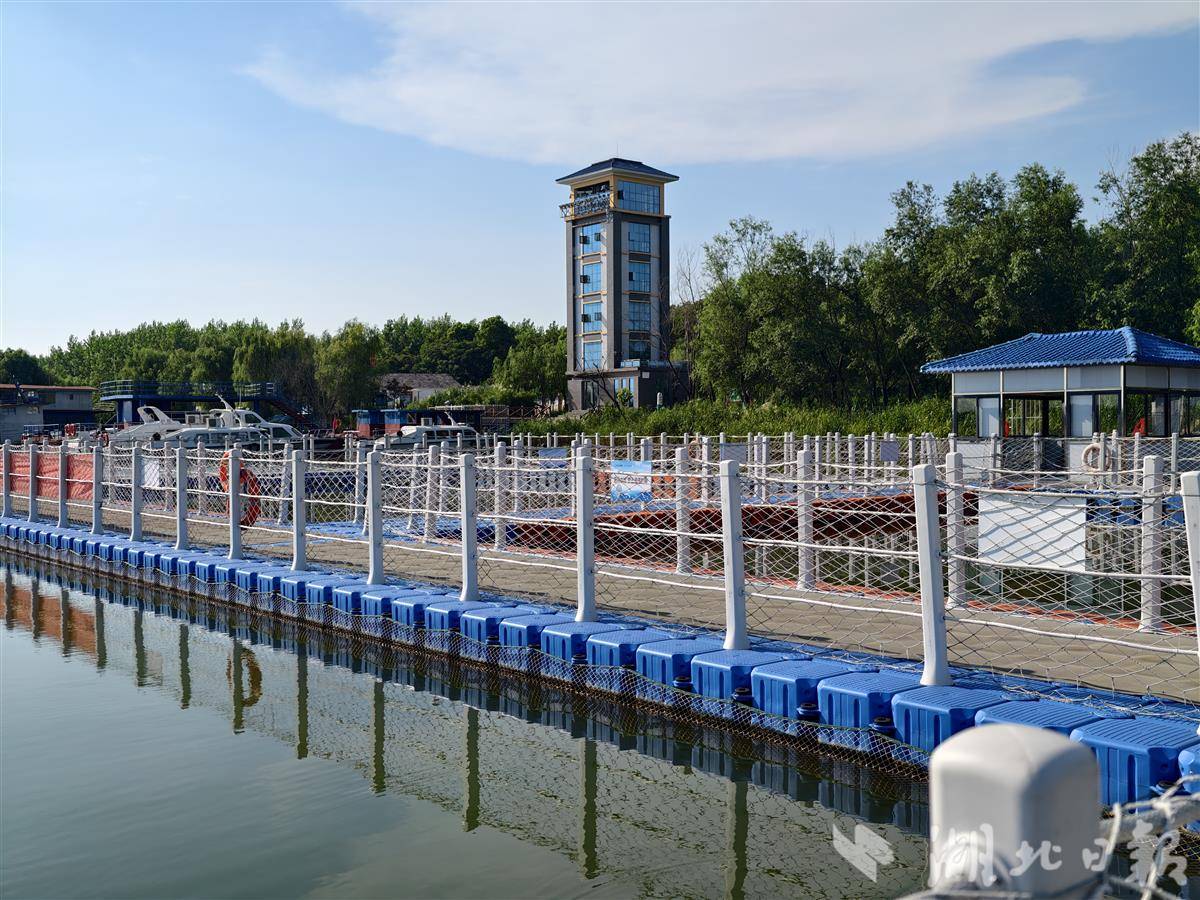 江豚 天鹅洲26.jpg