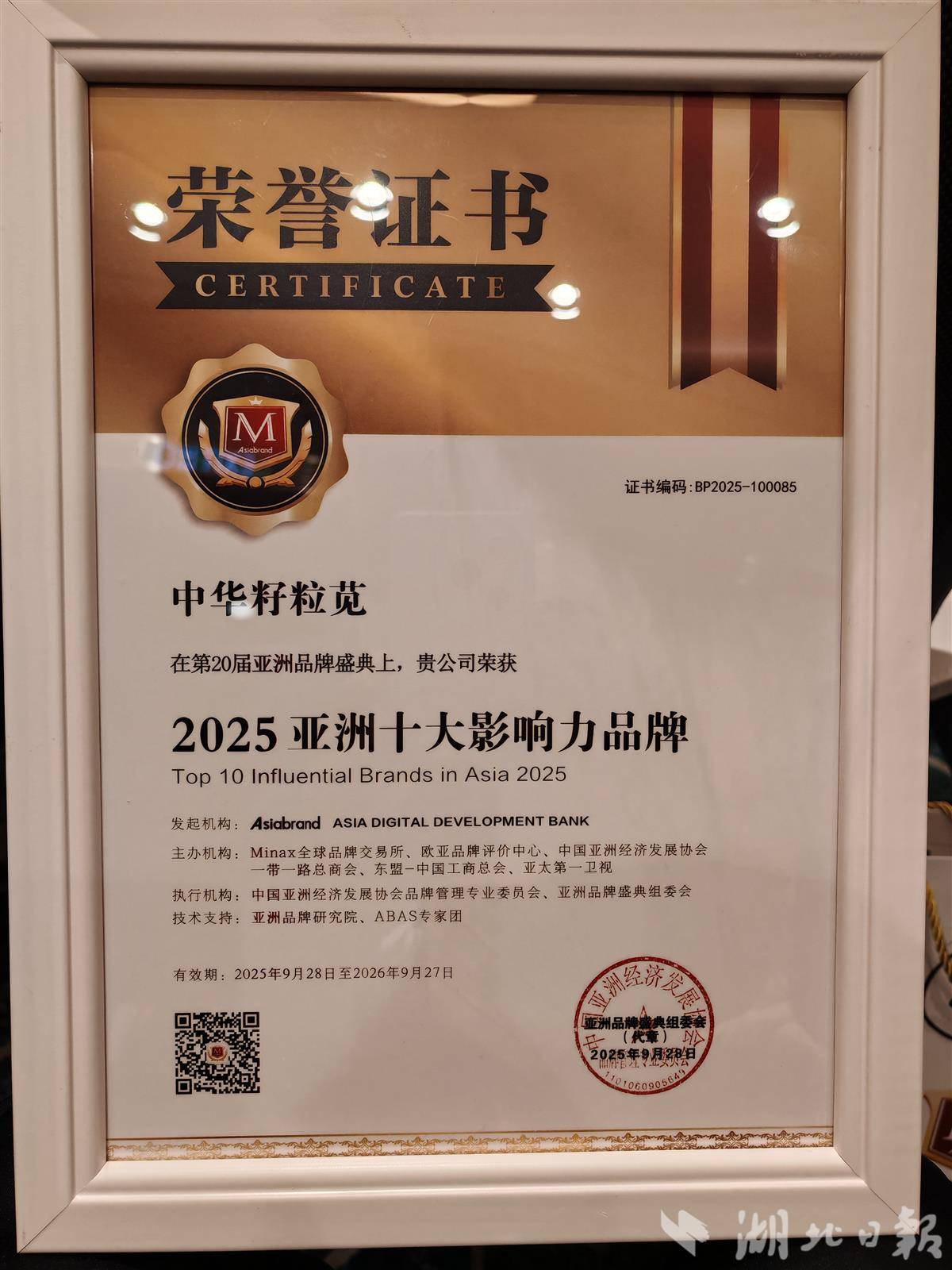 004 荣誉证书。.jpg