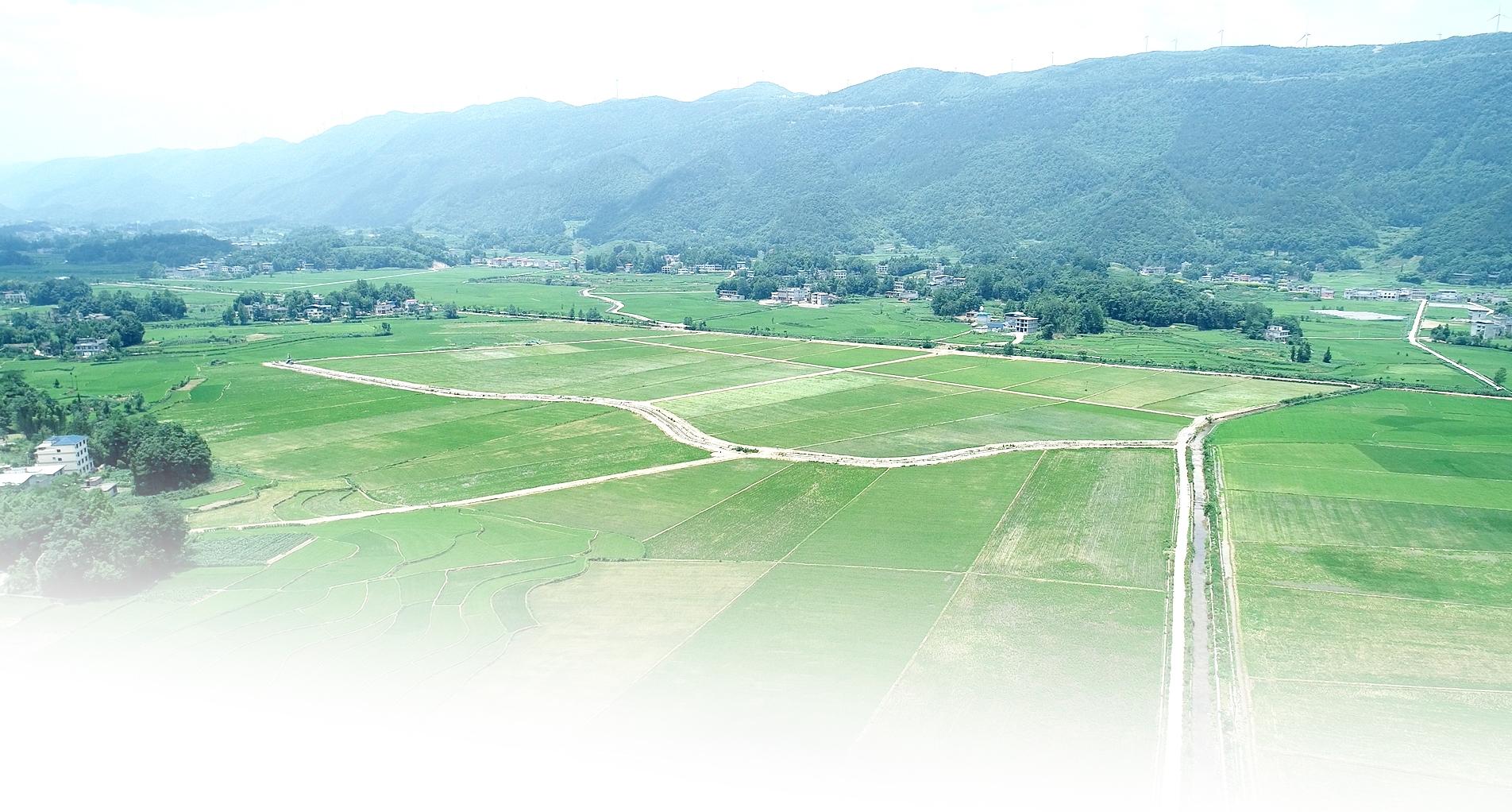 四个一开启致富金钥匙利川市打造山区高标准农田建设典范略记