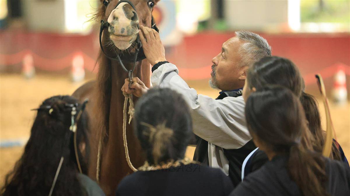 _63A7327-opq4039473838.jpg _63A7327-opq4039473838.jpg