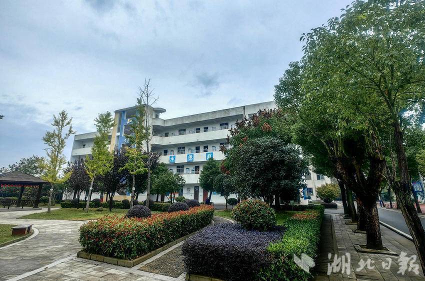 少见新洲区这所农村中学学生回流