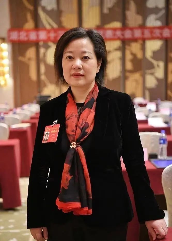 用技术与艺术规划城市记湖北省人大代表徐丽芳