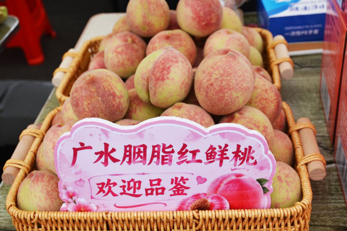 微信图片_2026-06-12_211640_340.jpg