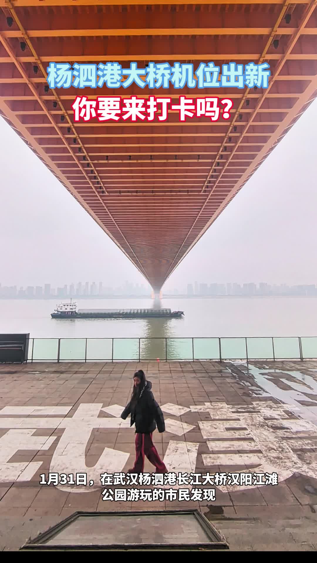 杨泗港大桥机位出新