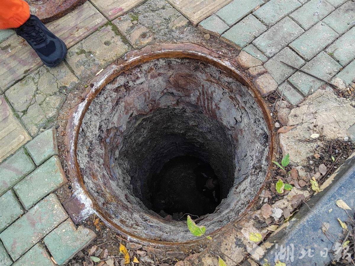 图片11.png 图片11.png