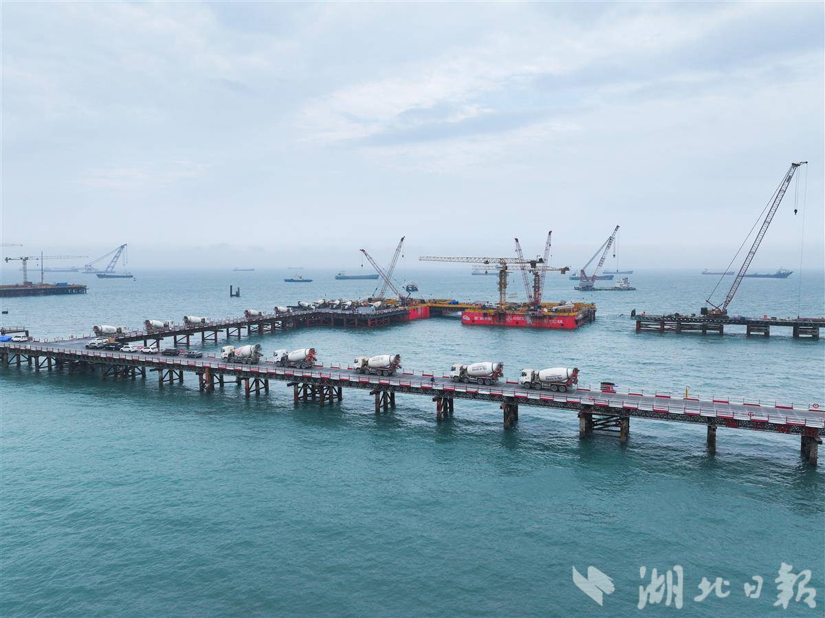 微信图片_20250709182026.jpg 微信图片_20250709182026.jpg