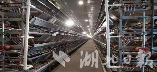 75ff9f6ea341c789e9830620b81ede91.png 75ff9f6ea341c789e9830620b81ede91.png