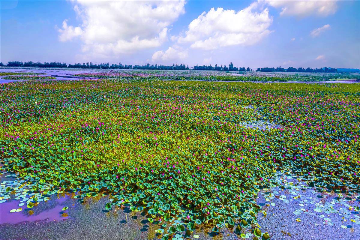 image.jpeg image.jpeg