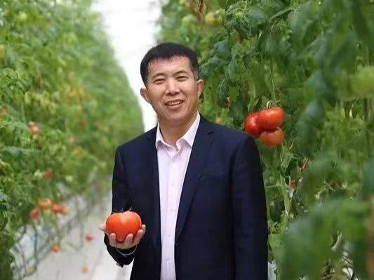 热推- 湖北日报新闻客户端