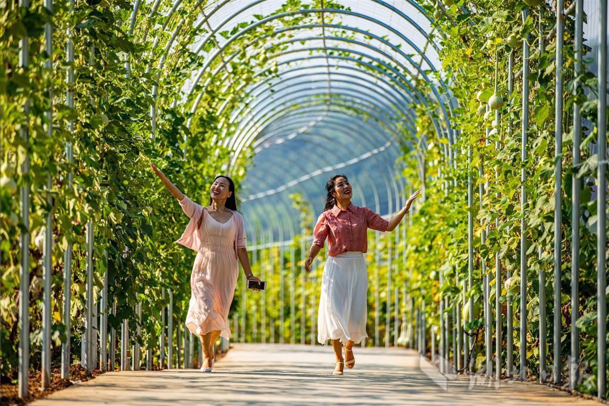 农旅融合促振兴